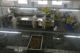 標準化建設 隆泰食品打造高品質放心早餐與酒類經營